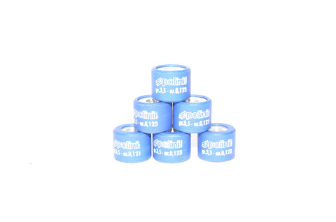 Polini Variator Weights 15x12