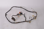 Honda DIO-1 Wiring Harness