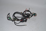 Yamaha Zuma Bug Eye Wiring harness