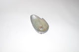 02'-05' Yamaha Vino Fork Trim Plastic
